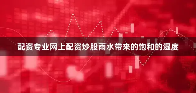 配资专业网上配资炒股雨水带来的饱和的湿度